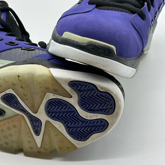 Nike Air Jordan 12-11-23 Dark Concord Sz 11 428817-501 OG Box Release Yr 2013 - Picture 5 of 9